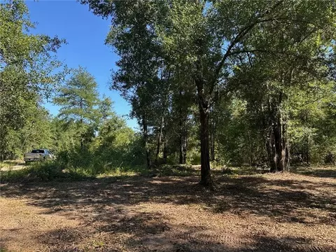 00 Newman Rd, Mobile, AL 36695 photo 3
