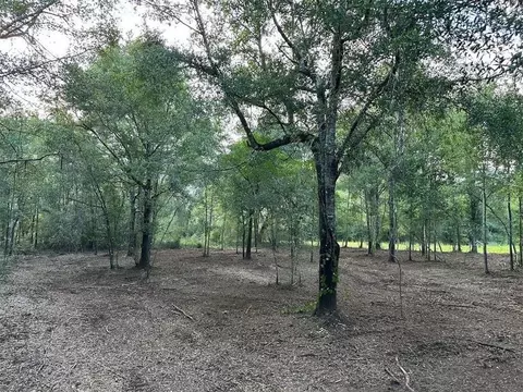 00 Newman Rd, Mobile, AL 36695 photo 17