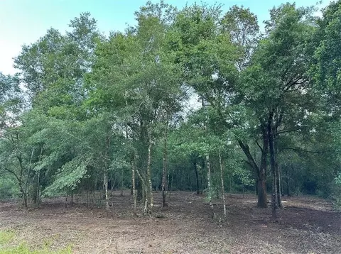 00 Newman Rd, Mobile, AL 36695 photo 5
