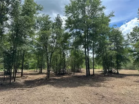 00 Newman Rd, Mobile, AL 36695 photo 10