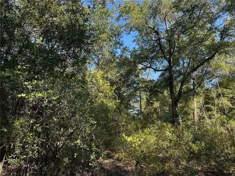 00 Newman Rd, Mobile, AL 36695 photo 26