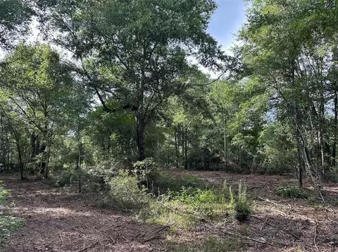 00 Newman Rd, Mobile, AL 36695 photo 9