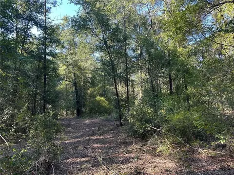 00 Newman Rd, Mobile, AL 36695 photo 25
