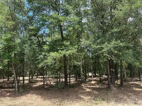 00 Newman Rd, Mobile, AL 36695 photo 16