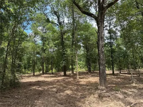 00 Newman Rd, Mobile, AL 36695 photo 11