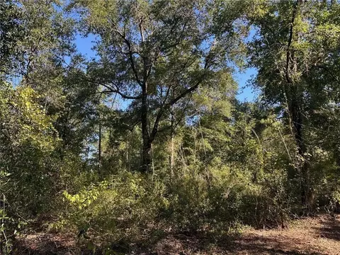 00 Newman Rd, Mobile, AL 36695 photo 23