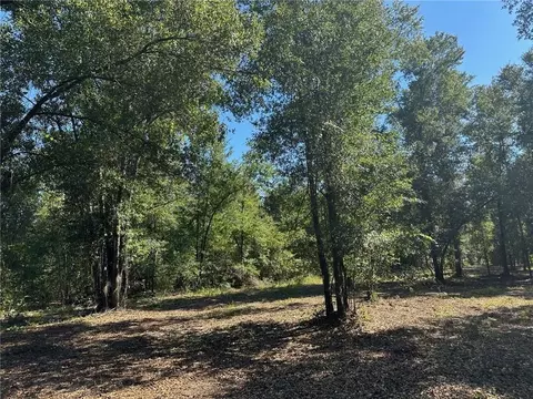 00 Newman Rd, Mobile, AL 36695 photo 21