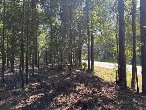 00 Newman Rd, Mobile, AL 36695 photo 18