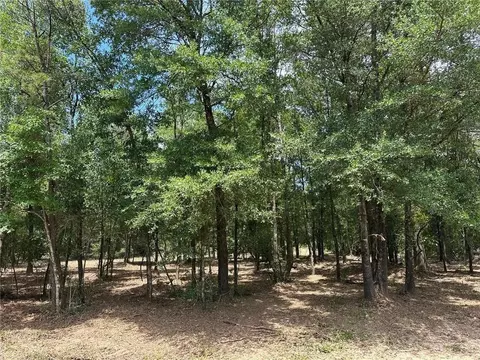 00 Newman Rd, Mobile, AL 36695 photo 4