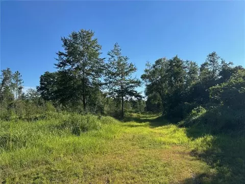 00 Newman Rd, Mobile, AL 36695 photo 30