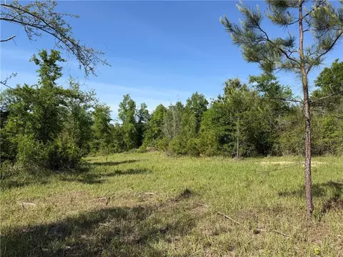 0 Sandy Creek Ln, Mobile, AL 36695