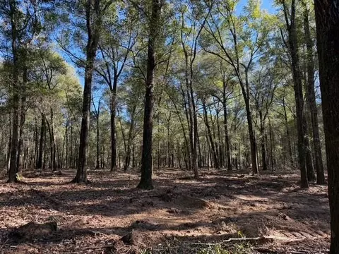 0 Danner Rd, Wilmer, AL 36587