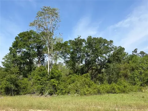 0 Sandy Creek Ln, Mobile, AL 36695