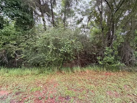 0 Laco Cooper Rd, Mobile, AL 36609 photo 4