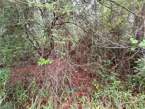 0 Laco Cooper Rd, Mobile, AL 36609 photo 3