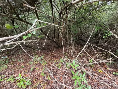 0 Laco Cooper Rd, Mobile, AL 36609 photo 2