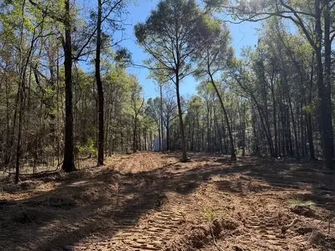 0 Danner Rd, Wilmer, AL 36587
