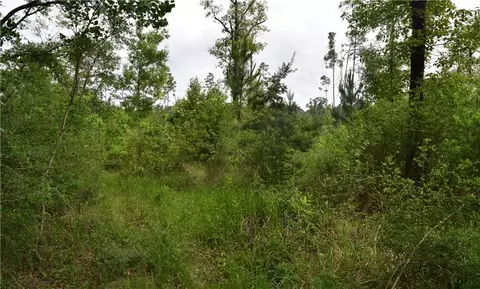 0 Mcgregor Rd, Grand Bay, AL 36541