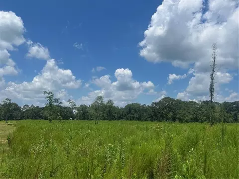 0 Lundy Rd, Theodore, AL 36582
