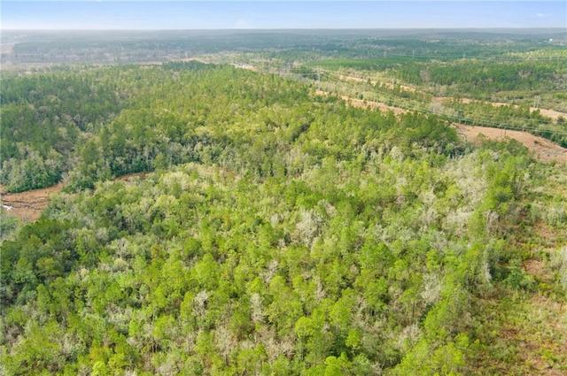 0 Andry Rd, Mount Vernon, AL 36560