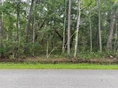807 Alabama Ave, Dauphin Island, AL 36528