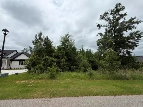 0 Deer Crest Ln, Mobile, AL 36695 photo 3