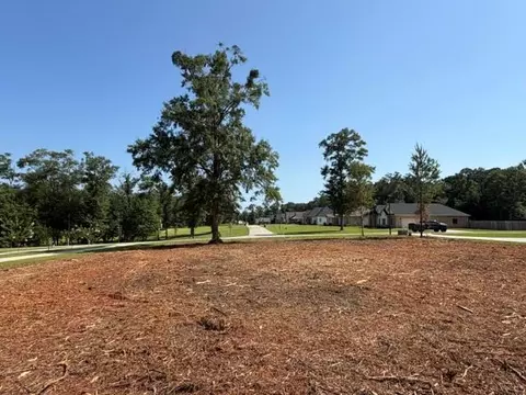0 Deer Crest Ln, Mobile, AL 36695 photo 21