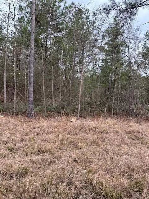 0 Salco Rd, Axis, AL 36505