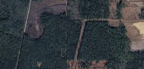 0 Richie Rd, Axis, AL 36505 photo 2