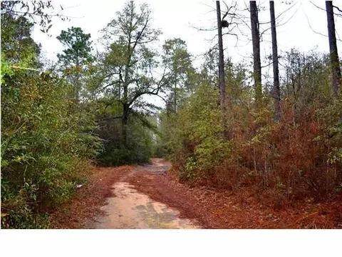 15370 Morgan Ln N, Wilmer, AL 36587