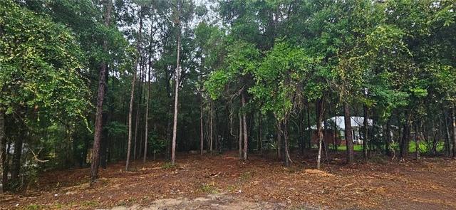 0 Timber Creek Dr N, Axis, AL 36505