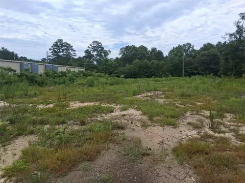 0 Old Highway 43, Mount Vernon, AL 36560