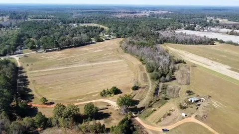 0 Lott Rd, Chunchula, AL 36521 photo 3