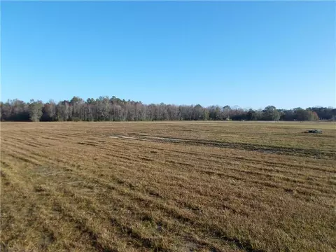 0 Lott Rd, Chunchula, AL 36521 photo 9