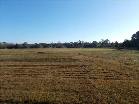 0 Lott Rd, Chunchula, AL 36521 photo 10