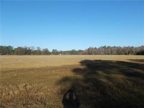 0 Lott Rd, Chunchula, AL 36521 photo 6