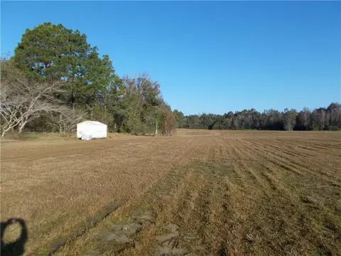 0 Lott Rd, Chunchula, AL 36521 photo 12