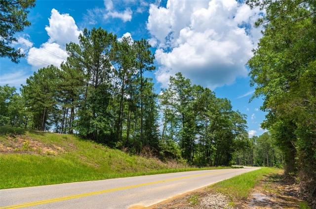 0 County Road 1, Chatom, AL 36518