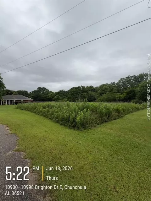 0 Brighton Dr, Chunchula, AL 36521