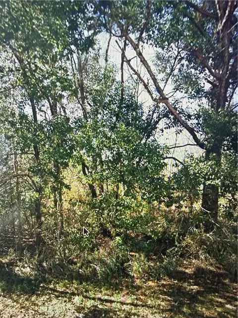 10224 Magnolia Rd, Irvington, AL 36544