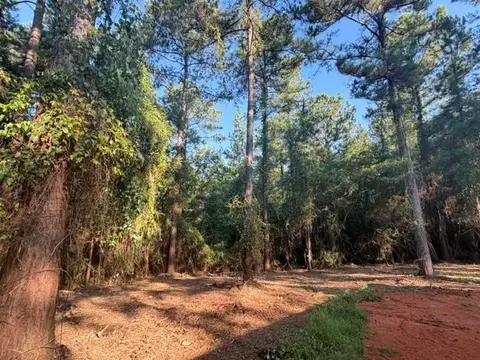 Exterior - 9673 Highway 45, Chunchula, AL 36521 photo 7 of 7