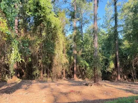 Other - 9673 Highway 45, Chunchula, AL 36521 photo 7 of 9