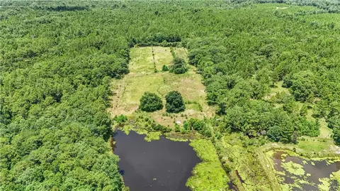 View/Area - 13151 Roberts Rd, Chunchula, AL 36521 photo 4 of 6
