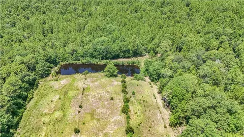 View/Area - 13151 Roberts Rd, Chunchula, AL 36521 photo 3 of 6