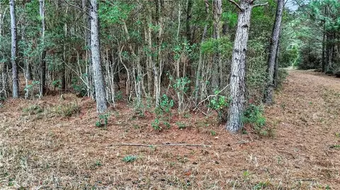 0 Hemley Rd, Coden, AL 36523 photo 4