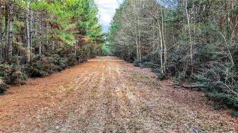 0 Hemley Rd, Coden, AL 36523 photo 13