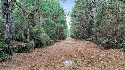 0 Hemley Rd, Coden, AL 36523 photo 8