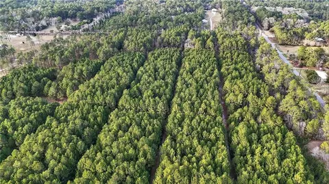 0 Hemley Rd, Coden, AL 36523 photo 17