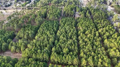 0 Hemley Rd, Coden, AL 36523 photo 18