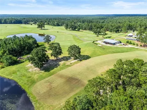 79 Whitetail Run, Chatom, AL 36518 photo 82